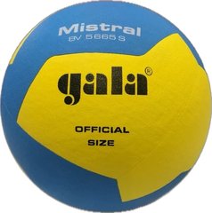 М'яч волейбольний Gala Mistral 12 BV5665S BV5665S