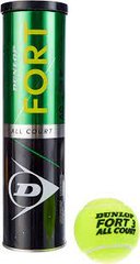 М'ячі для тенісу Dunlop Fort TS 4B метал банка X00000019005
