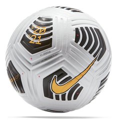 М'яч для футболу Nike Flight 2021 OMB (FIFA PRO) DA5635-100