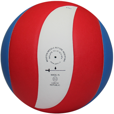 М'яч волейбольний Gala Pro-Line BV5821S BV5821S