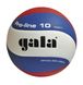 М'яч волейбольний Gala Pro-Line BV5821S BV5821S фото 3
