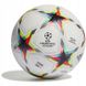 Футбольний м'яч Adidas 2022 UCL Void Competition HE3772 HE3772 фото 1