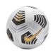 М'яч для футболу Nike Flight 2021 OMB (FIFA PRO) DA5635-100 DA5635-100 фото 2