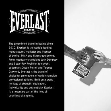 Боксерські рукавиці Everlast 1910 CLASSIC TRAINING GLOVE коричневий Уні  P00002502
