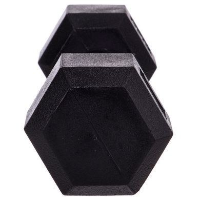 Гантель цельная шестигранная SP-Planeta SC-8013-3 1шт x 3кг SC-8013-3