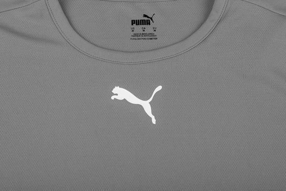 Футболка Puma teamRISE Jersey Jr сірий Діт 704938-13