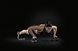 Упори для віджимання Adidas Push Up Bars чорний OFSM ADAC-12231-DS фото 4