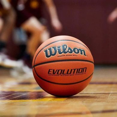 М'яч баскетбольний Wilson Evolution size 7 WTB0516