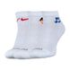 Шкарпетки Nike U NK EVERYDAY PLUS CUSH ANKLE DH3827-902 фото 1