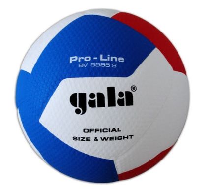М'яч волейбольний Gala Pro-Line 12 BV5585S BV5585S
