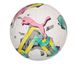Футбольный мяч PUMA Orbita 2 (FIFA QUALITY PRO) 08377501 08377501 фото 4