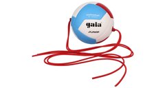 М'яч волейбольний Gala Jump 12 BV5485S BV5485S