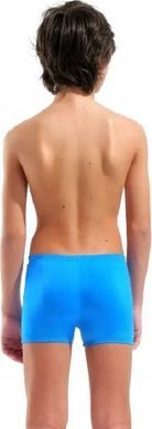 Плавки-шорти для хлопчиків Arena LOGO SWIM SHORT блакитний дитячий 164 см (010349-508) 010349-508