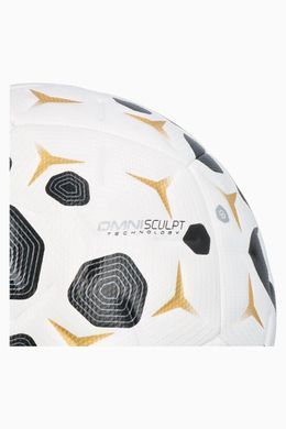 Футбольный мяч Nike Academy Plus HV4392-100  HV4392-100