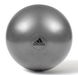 Фітбол Adidas Gymball сірий Уні 65 см 00000026136 фото 2