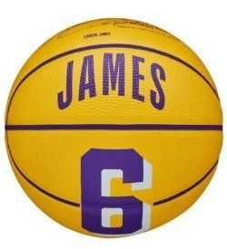 М'яч баскетбольний Wilson NBA PLAYER ICON MINI BSKT LEBRON size 3 WZ4007201XB3