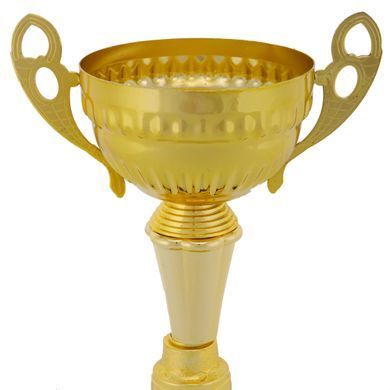 Кубок спортивний нагородний SP-Sport Fortune X8032C висота 29см., золотий X8032C