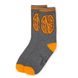 Шкарпетки Fantastic Beasts Newt Scamander Socks Set of 3 Мультиколор Уні 36-40 00000009429 фото 10