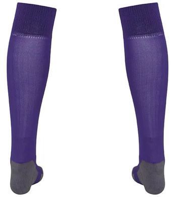 Гетри Puma Team LIGA Socks CORE бузковий Уні  703441-10