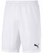 Шорти Puma teamGOAL 23 knit Shorts білий Чол M 704262-04 фото 1