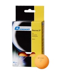 М'ячі для настільного тенісу 6шт Donic-Schildkrot 2-Star Prestige 658028