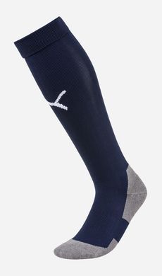 Гетри Puma Team LIGA Socks CORE синій Уні 39-42 703441-06