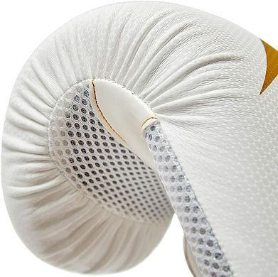 Боксерські рукавички Reebok Boxing Gloves білий, золото Чол 14 унцій 00000026260