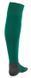 Гетри Puma Team LIGA Socks CORE зелений Уні 31-34 703441-05 фото 2