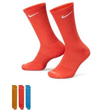 Шкарпетки Nike U NK EVRY PLUS CUSH CREW 3PR мультиколор Уні  SX6888-918