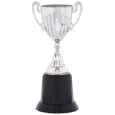 Кубок спортивний нагородний SP-Sport Aim C-4522 висота 22см., срібний C-4522