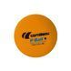 М'ячі для настільного тенісу Cornilleau P-BALL ABS EVOLUTION 1* 72 шт, помаранчеві 3222763216550 фото 2