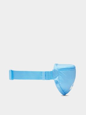Сумка на пояс Nike NK HERITAGE WAISTPACK - FA21 3L блакитний Уні 41х10х15 см 00000028536