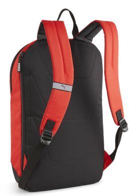 Рюкзак Puma teamGOAL Backpack 24L красный Уни 15x30x49 см 090239-03