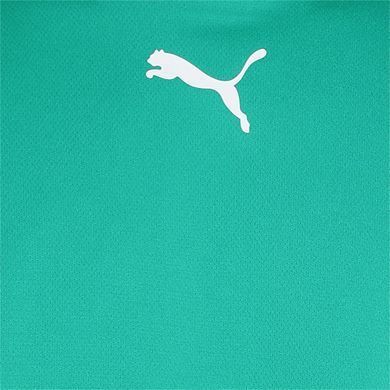 Футболка Puma teamRISE Jersey зелений Чол XXL 704932-05