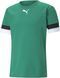 Футболка Puma teamRISE Jersey зеленый Муж L 704932-05 фото 4