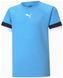 Футболка Puma teamRISE Jersey Jr голубой Дет 140 см 704938-18 фото 1