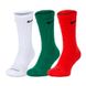 Шкарпетки Nike U EVER DA PLUS CUSH CREW SX6888-929 фото 1