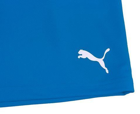 Шорти Puma teamRISE Short Jr синій Діт 164 см 704943-02
