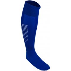 Гетри Select Football socks stripes синій, білий Чол 38-41 арт 101777-012 00000014905