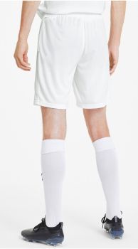 Шорти Puma teamGOAL 23 knit Shorts білий Чол XL 704262-04
