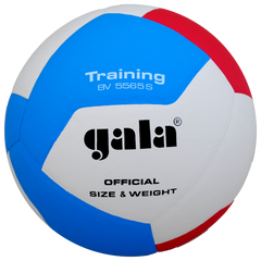 М'яч волейбольний Gala Training BV5565S BV5565S
