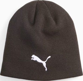 Шапка Puma indWINTERIZED Tech Beanie коричневий One Size 024943-01