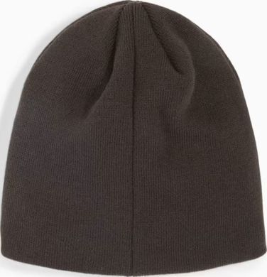 Шапка Puma indWINTERIZED Tech Beanie коричневий One Size 024943-01