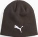 Шапка Puma indWINTERIZED Tech Beanie коричневий One Size 024943-01 фото 1