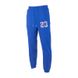 Штани JORDAN M J SPRT DNA FLC PANT DJ0190-455 фото 1