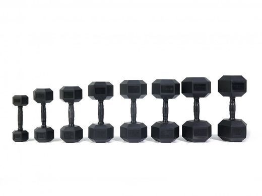 Гантель шестигранный Zipro Hex 2,5 кг. 5902659842251