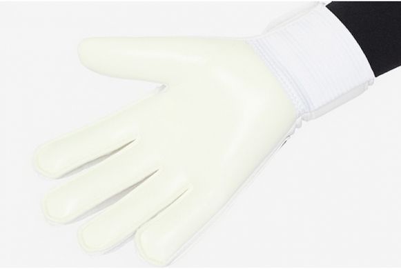 Вратарские перчатки Nike NK GK MATCH JR-FA20 белый Дет 8 (21.6 см) 00000029661