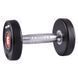 Гантель сталева inSPORTline Profi, 2 кг 9165 фото 1