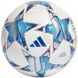 М'яч для футзалу ADIDAS UCL PRO SALA 23/24 GROUP STAGE FOOTBALL IA0951 №4 (UEFA CHEMPIONS LEAGUE 2023/2024) IA0951 фото 1