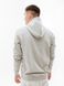 Толстовка HELLY HANSEN NORD GRAPHIC PULL OVER HOODIE 62975-950 фото 2